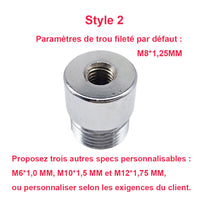 Vérin électrique inox 250 mm course - pour milieux mouillés et corrosifs (Modèle 0041522-6)