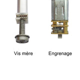 25MM 188N Petit vérin électrique compact parfait pour les espaces étroits (Modèle 0041744)