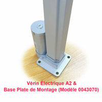 Vérin électrique 2000N 200kg course 300MM actionneur linéaire avec potentiomètre intégré (Modèle 0041667)